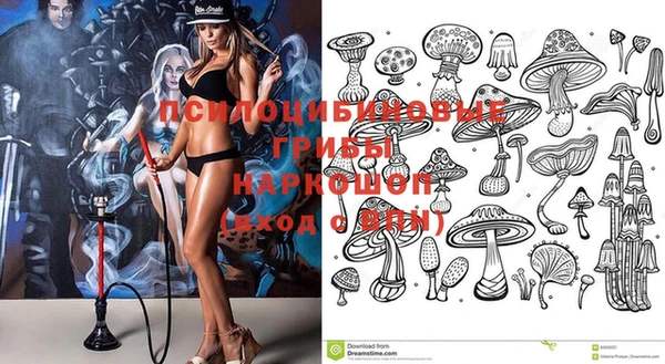 гашик Магадан